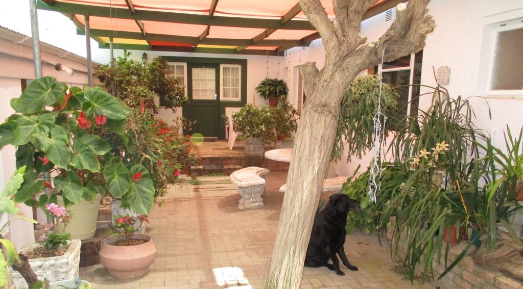 Van Rhyn Guest House Vanrhynsdorp Exterior foto
